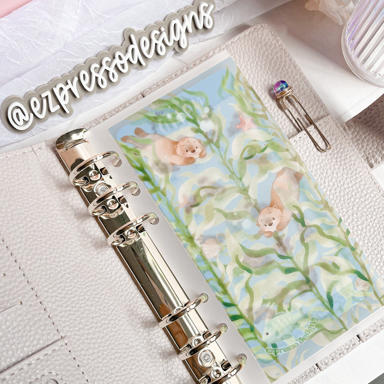Saving for Otter Things | Savings Challenge