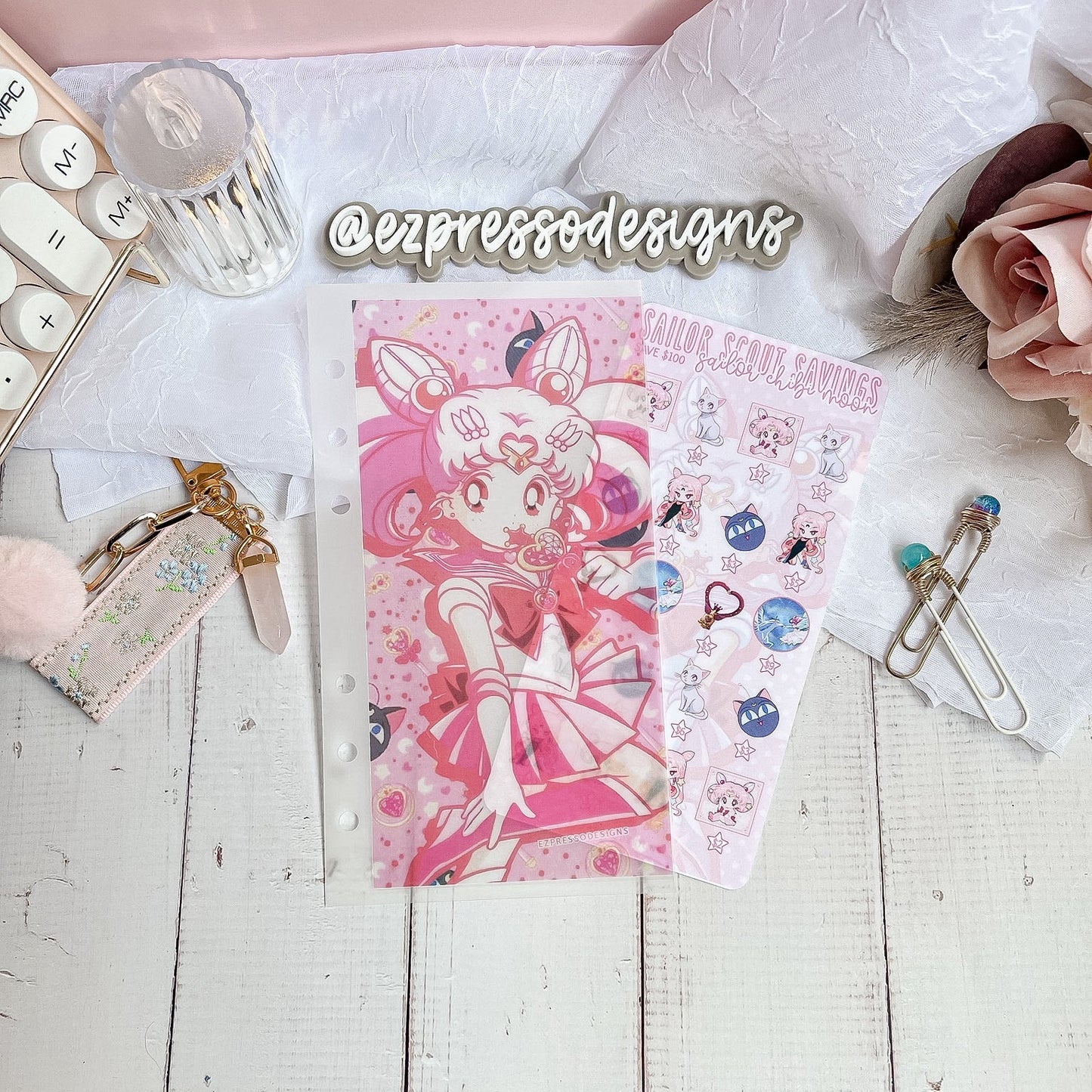 Sailor Scouts Savings Challenges 🌙💎🎀